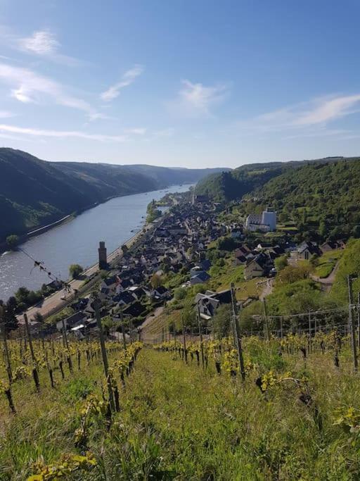Wohnen Am Schoenen Mittelrhein Weltkulturerbe Oberwesel Exteriér fotografie